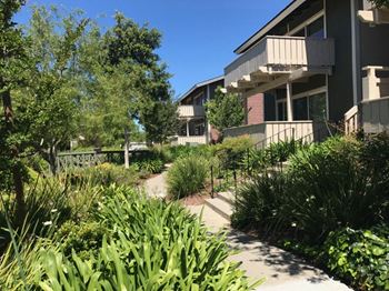 Beautiful waterways with exotic fish